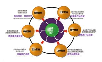 網(wǎng)絡(luò)市場營銷策劃的特點與要義