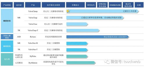 捍宇醫(yī)療IPO折戟 17億募資夢碎，CPE、云鋒基金股東背后，網(wǎng)絡(luò)營銷策劃如何影響醫(yī)療科技企業(yè)價值？